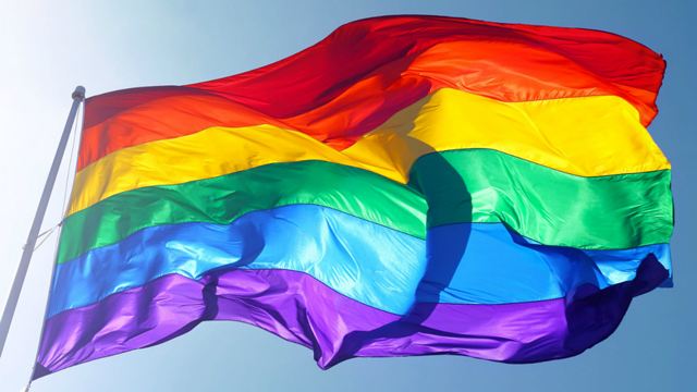 Mês do Orgulho LGBT: Os filmes e séries preferidos da redação do AdoroCinema sobre gênero e sexualidade