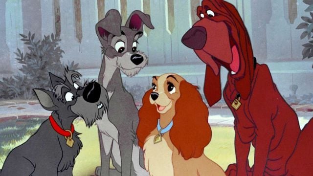 Imagem da notícia A Dama e o Vagabundo: Confira fotos inéditas dos fofos cachorros do live-action