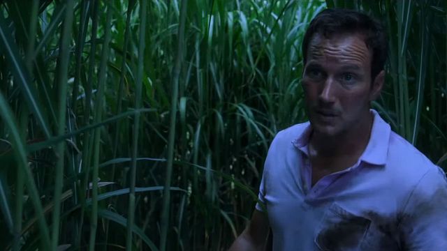 Imagem da notícia Campo do Medo: Filme inspirado em conto de Stephen King ganha primeiro trailer