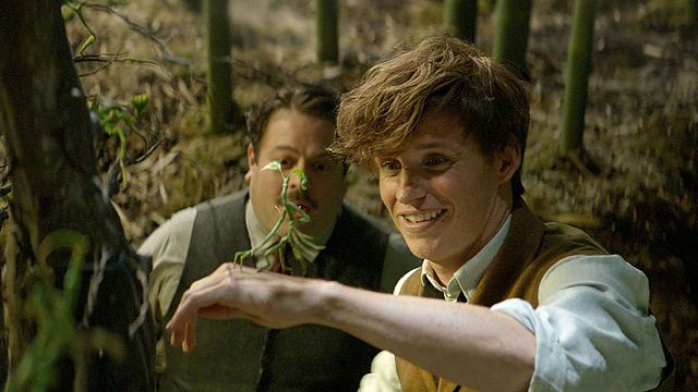 Imagem da notícia Animais Fantásticos vai virar um programa de TV na BBC