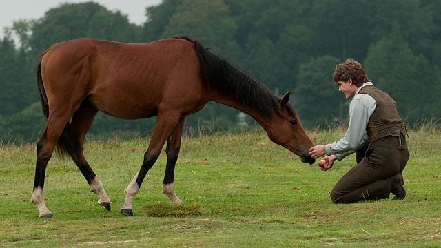 Sessão da Tarde: Cavalo de Guerra vai ao ar esta tarde