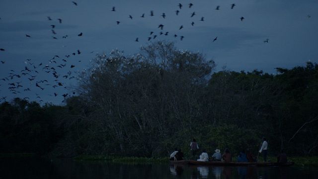 Imagem da notícia Olhar de Cinema 2020: Confira os vencedores da edição