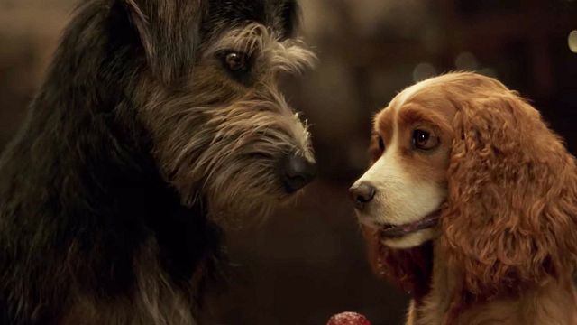 Imagem da notícia Disney+: 3 produções imperdíveis do serviço de streaming