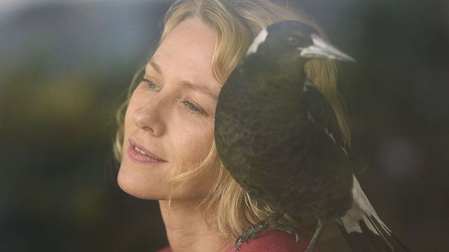 Imagem da notícia Um Milagre Inesperado: Conheça o filme emocionante com Naomi Watts que estreou exclusivamente no Telecine 