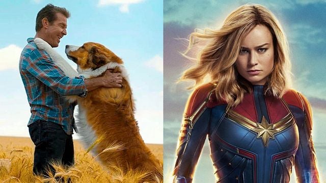 Imagem da notícia Juntos para Sempre na Tela Quente (03/01): Emocionante drama tem coincidência com filme do MCU, Capitã Marvel