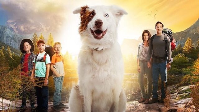 Imagem da notícia Uma Aventura e Tanto na Sessão da Tarde (18/02): Filme é baseado em uma história real ocorrida com o diretor