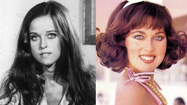 Imagem da notícia Morre Djenane Machado, estrela de A Grande Família e Ópera do Malandro, aos 70 anos; relembre a carreira