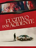 Pôster de Fugitivo por Acidente