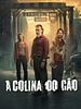 imagem de 