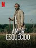 Pôster de Amor Esquecido