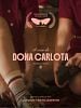 Pôster de A Casa de Dona Carlota