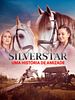 Pôster de Silverstar: Uma História de Amizade