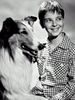 Pôster de Lassie