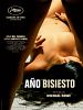 Pôster de Ano Bissexto