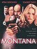 Pôster de Montana