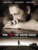 Pôster de A Vida de David Gale