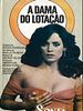 Pôster de A Dama do Lotação