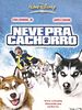 Pôster de Neve pra Cachorro
