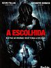 Pôster de A Escolhida
