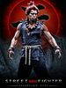 Pôster de Street Fighter: Assassin's Fist