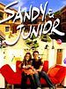Pôster de Sandy & Junior