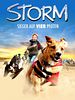 Pôster de Meu Amigo Storm