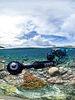 Pôster de Chasing Coral