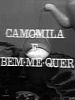 Pôster de Camomila e Bem-Me-Quer