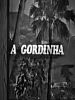 Pôster de A Gordinha