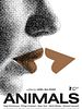 Pôster de Animais