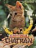 Pôster de As Aventuras de Chatran