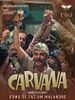 Pôster de Carvana