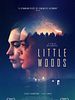 Pôster de Little Woods