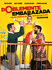 Pôster de Doblemente Embarazada