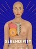 Pôster de Serendipity