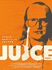 Pôster de A Vida Irregular de Juice Leskinen