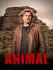 Pôster de Animal