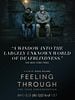 Pôster de Feeling Through
