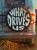 Pôster de What Drives Us