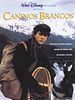 Pôster de Caninos Brancos