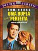 Pôster de Uma Dupla Quase Perfeita