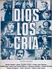 Pôster de Deus os cria