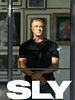 Pôster de Sly