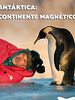 Pôster de Antártica: Continente Magnético