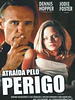 Pôster de Atraída pelo Perigo