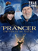 Pôster de Prancer: Um Conto de Natal