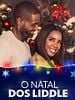 Pôster de O Natal dos Liddle