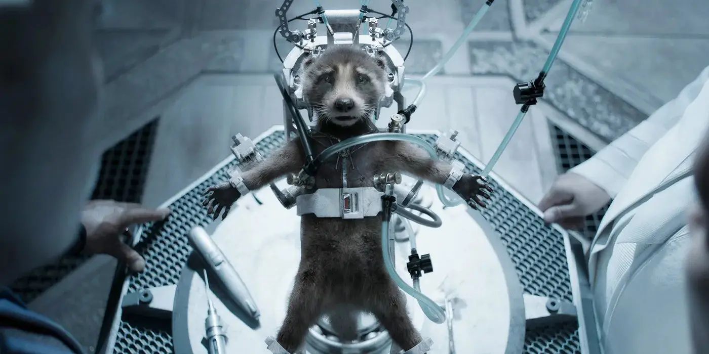 Rocket sendo modificado pelo Alto Evolucionário.