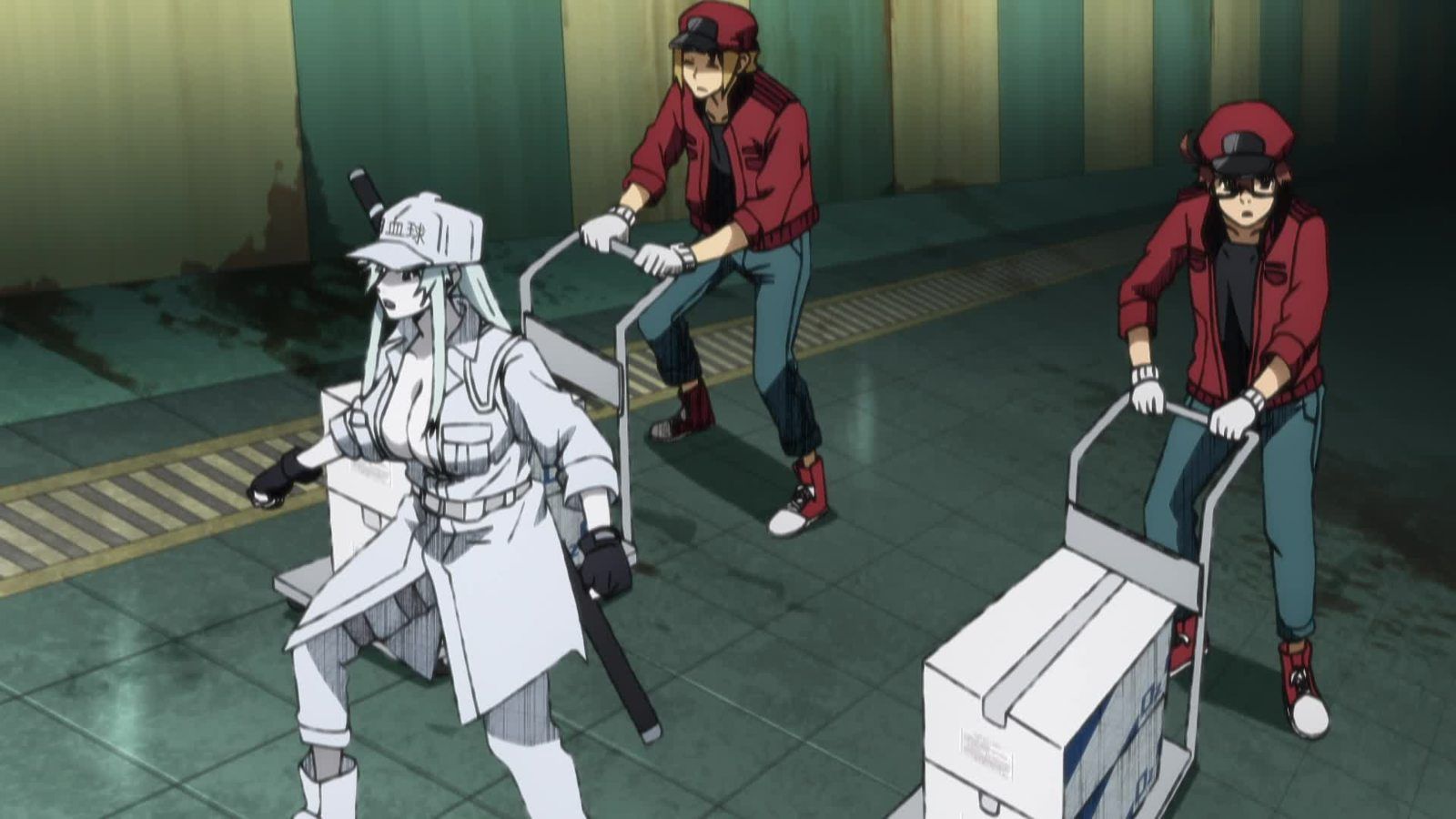 Cells at Work! CODE BLACK : Cells at Work! CODE BLACK : Fotos - 7 no 10 ...