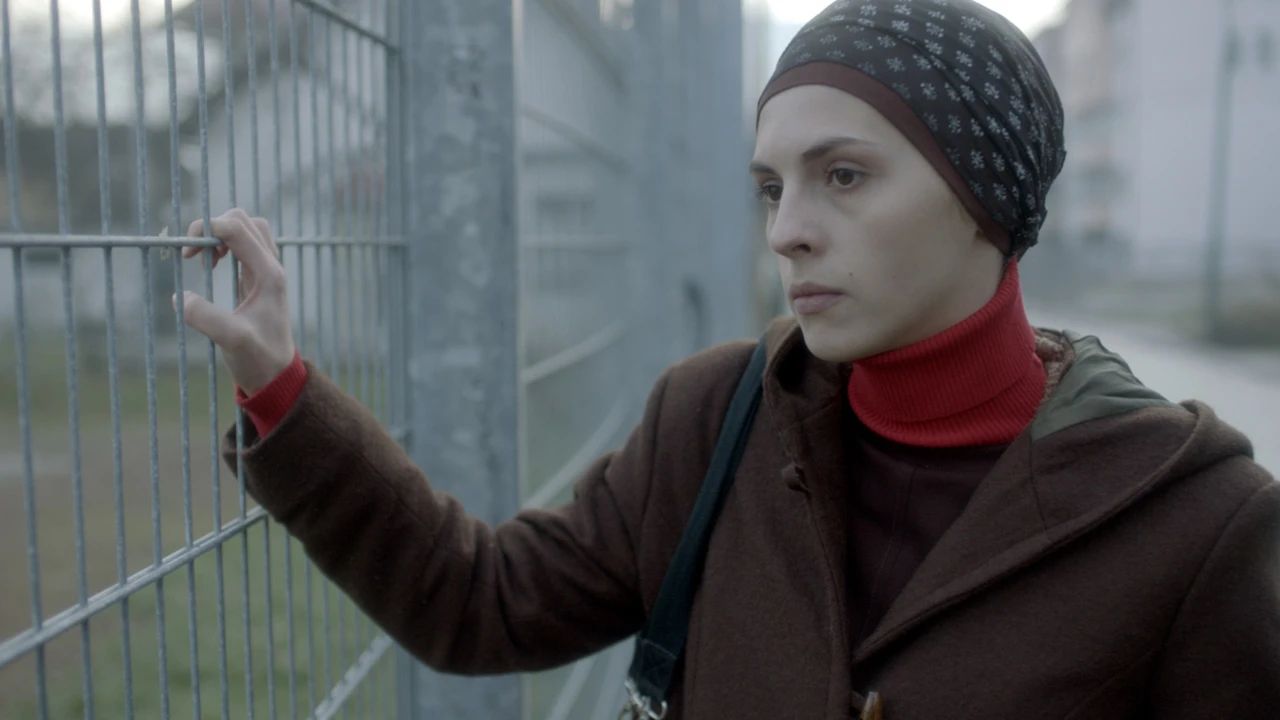 bósnia e herzegovina x catar: o impacto imediato para a temporada